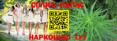 мяу мяу мука Кингисепп