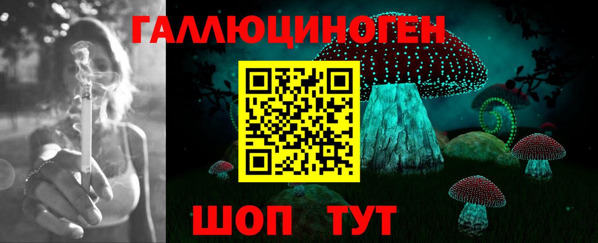 закладки  Псилоцибиновые грибы Psilocybine cubensis  Вход с VPN  Кизляр 